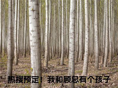 热搜预定！我和顾总有个孩子小说全文免费阅读无弹窗大结局_热搜预定！我和顾总有个孩子顾珩夏亦初最新章节列表_笔趣阁（热搜预定！我和顾总有个孩子）