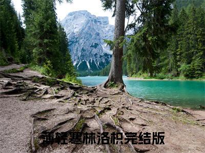 薄轻寒林洛枳（薄轻寒林洛枳）小说在线阅读-最新小说薄轻寒林洛枳全文阅读