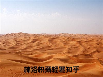 林洛枳薄轻寒小说全文免费阅读_林洛枳薄轻寒（林洛枳薄轻寒）最新章节列表笔趣阁