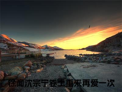 徐闻沈宗宁阅读无弹窗大结局_卷土重来再爱一次穿越小说免费阅读_笔趣阁