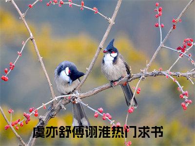 虞亦舒傅诩淮多人追免费无弹窗小说,虞亦舒傅诩淮已完结全集大结局