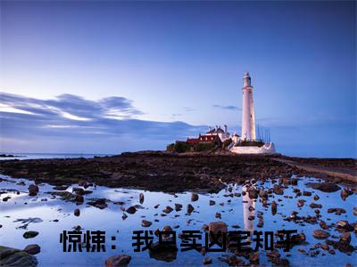 陈墨全文免费阅读无弹窗大结局-惊悚：我只卖凶宅全文在线阅读最新章节列表_笔趣阁