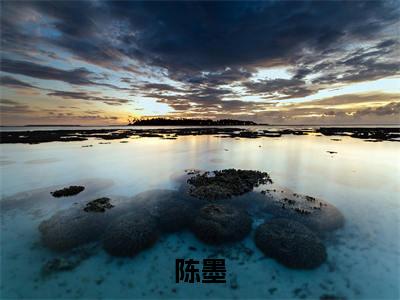 陈墨（惊悚：我只卖凶宅）全文免费阅读无弹窗大结局_(惊悚：我只卖凶宅)陈墨免费阅读无弹窗最新章节列表_笔趣阁（陈墨）