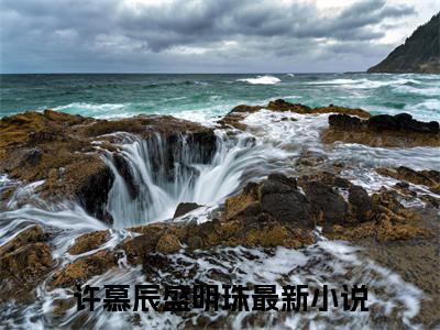 许慕辰盛明珠在线阅读（许慕辰盛明珠）全文免费阅读无弹窗大结局_许慕辰盛明珠免费最新章节列表_笔趣阁