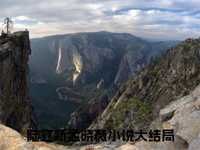 陆立新孟晓薇（陆立新孟晓薇无弹窗）全文免费阅读无弹窗大结局_陆立新孟晓薇最新章节列表_笔趣阁（陆立新孟晓薇无弹窗）