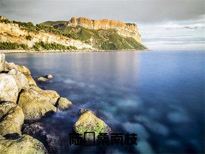 陆杬桑南枝（陆杬桑南枝小说）全文免费阅读无弹窗大结局_陆杬桑南枝小说最新章节列表_（陆杬桑南枝）