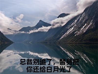 总裁别追了，替身把你还给白月光了小说全文大结局-总裁别追了，替身把你还给白月光了（岑溪顾子风）小说全文免费阅读