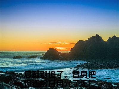 岑溪顾子风（总裁别追了，替身把你还给白月光了）全文免费阅读无弹窗大结局_岑溪顾子风全文免费完结版阅读（总裁别追了，替身把你还给白月光了）