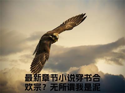 许迢迢无弹窗（穿书合欢宗？无所谓我是泥石流）全文免费阅读无弹窗大结局_(穿书合欢宗？无所谓我是泥石流)穿书合欢宗？无所谓我是泥石流最新章节列表_笔趣阁（穿书合欢宗？无所谓我是泥石流）