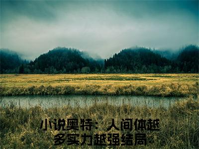 杰诺（奥特：人间体越多实力越强）小说全文免费阅读正版无弹窗_(奥特：人间体越多实力越强)免费阅读无弹窗最新章节列表_笔趣阁