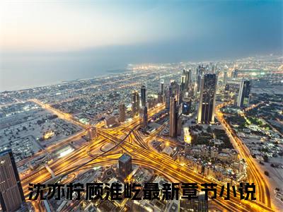 沈亦柠顾淮屹（沈亦柠顾淮屹）全文免费无弹窗大结局_沈亦柠顾淮屹最新章节目录笔趣阁（沈亦柠顾淮屹）