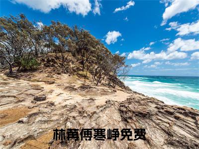 林苒傅寒峥(林苒傅寒峥)全文在线林苒傅寒峥读无弹窗大结局_林苒傅寒峥在线读无弹窗最新章节列表_笔趣阁