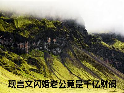 闪婚老公竟是千亿财阀（林烟陆沉渊全文在线阅读）-闪婚老公竟是千亿财阀(林烟陆沉渊)免费阅读（闪婚老公竟是千亿财阀）