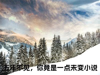 小说《苏荔黎易至》全文免费阅读无弹窗-五年不见，你竟是一点未变小说全文在线赏析