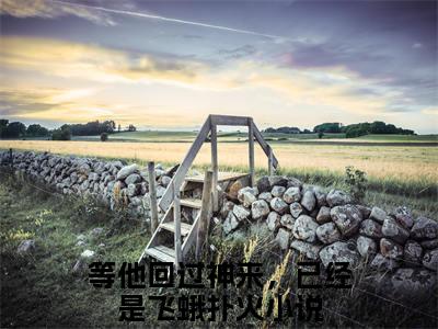 苏未厉绍呈（等他回过神来，已经是飞蛾扑火）全文免费阅读_等他回过神来，已经是飞蛾扑火全文阅读_笔趣阁