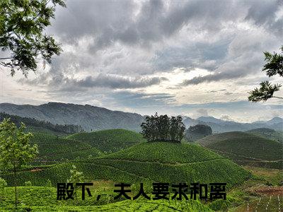 殿下，夫人要求和离(沈漫兮元钦阆)全文免费阅读无弹窗_（殿下，夫人要求和离全文免费阅读无弹窗）殿下，夫人要求和离最新章节列表_笔趣阁(沈漫兮元钦阆)