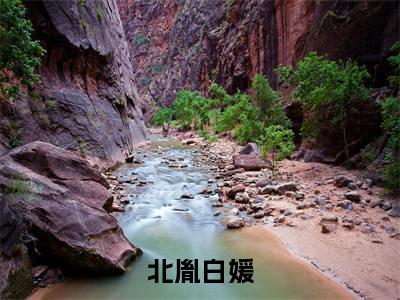 北胤白媛（枯情随缘尽）全网首发最新小说-主角枯情随缘尽全文在线免费阅读