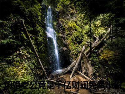 林烟陆沉渊小说无弹窗（闪婚老公竟是千亿财阀）全文免费阅读无弹窗大结局_(闪婚老公竟是千亿财阀）闪婚老公竟是千亿财阀最新章节列表_笔趣阁（林烟陆沉渊）