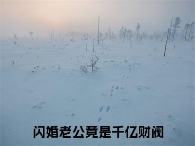 闪婚老公竟是千亿财阀（林烟陆沉渊）全文免费阅读-闪婚老公竟是千亿财阀（林烟陆沉渊）最新章节小说阅读