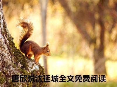 唐欣悦沈延城（唐欣悦沈延城）全文免费阅读无弹窗大结局_唐欣悦沈延城最新章节列表（唐欣悦沈延城）