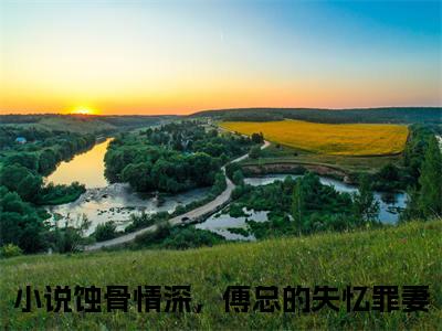 蚀骨情深，傅总的失忆罪妻（苏瑶瑶傅延川）全文免费阅读无弹窗大结局_（蚀骨情深，傅总的失忆罪妻）苏瑶瑶傅延川最新章节列表_笔趣阁（蚀骨情深，傅总的失忆罪妻）