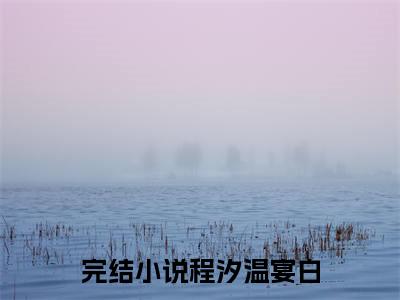 程汐温宴白(程汐温宴白)全文免费阅读无弹窗大结局_程汐温宴白(程汐温宴白小说全文大结局)全章节免费在线阅读（程汐温宴白）