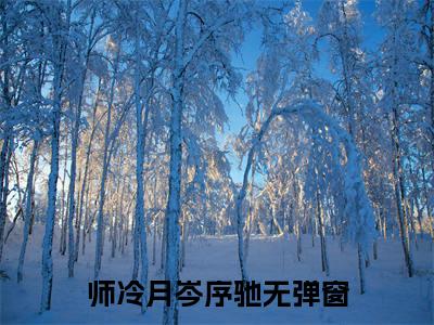 (师冷月岑序驰)师冷月岑序驰小说免费师冷月岑序驰读无弹窗最新章节列表_笔趣阁（师冷月岑序驰）