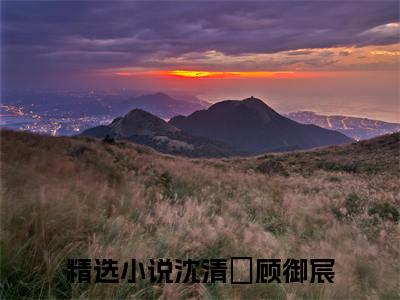 抖音新书热荐沈清婳顾御宸-小说全文完整版免费阅读