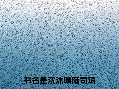沈沐晴陆司琛免费沈沐晴陆司琛读无弹窗最新章节列表_笔趣阁（沈沐晴陆司琛）