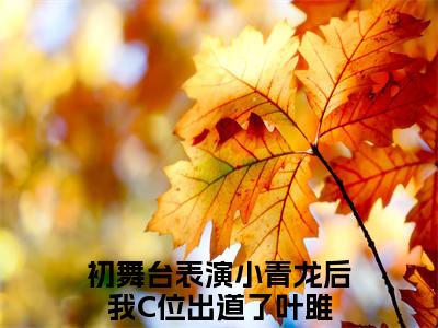 初舞台表演小青龙后我C位出道了叶雎正版小说全文阅读-初舞台表演小青龙后我C位出道了叶雎（初舞台表演小青龙后我C位出道了叶雎）小说在线阅读