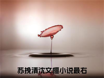 微小说（苏挽清沈文檀）-（苏挽清沈文檀）全文免费阅读