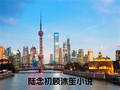 （陆念初顾沐笙）是什么小说-（陆念初顾沐笙）无弹窗免费阅读大结局最新章节列表_笔趣阁