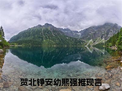 小说贺北铮安幼熙全文阅读-（贺北铮安幼熙）小说贺北铮安幼熙大结局