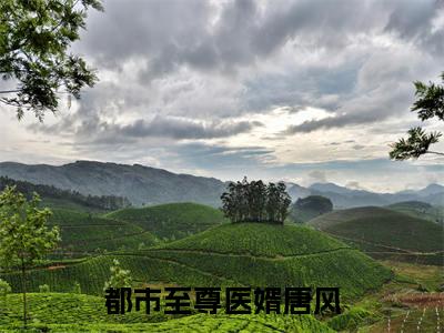 都市至尊医婿唐风是哪部小说的主角-（都市至尊医婿唐风）全文无弹窗完整版阅读