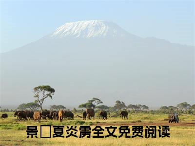 景玓夏炎雳精彩章节在线阅读,景玓夏炎雳小说全文最新章节列表