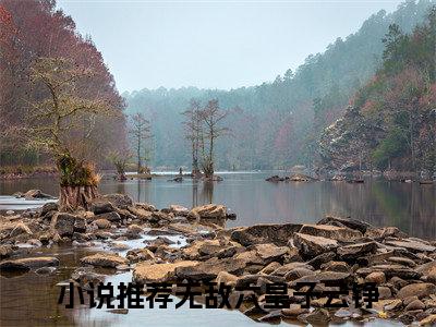 无敌六皇子云铮（无敌六皇子云铮）热文小说全文阅读-精彩美文无敌六皇子云铮免费阅读