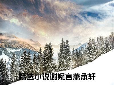 全章节完整《谢婉言萧承轩》全文阅读《谢婉言萧承轩》