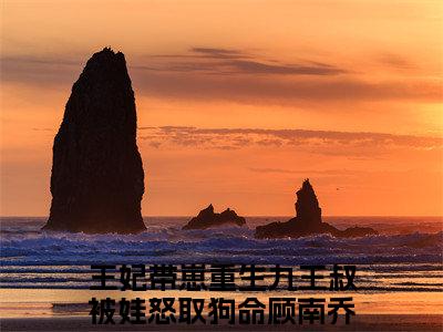 （王妃带崽重生九王叔被娃怒取狗命顾南乔）抖音王妃带崽重生九王叔被娃怒取狗命顾南乔小说阅读完结版-王妃带崽重生九王叔被娃怒取狗命顾南乔小说全文免费阅读
