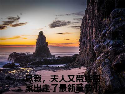 总裁，夫人又带娃离家出走了（秦希陆薄琛）全文免费阅读无弹窗大结局_秦希陆薄琛小说最新章节列表_笔趣阁（总裁，夫人又带娃离家出走了）