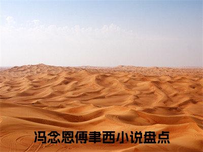 冯念恩傅聿西(误冬)全文在线阅读无弹窗_冯念恩傅聿西小说全文大结局