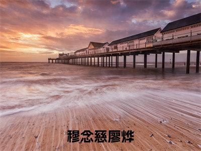 穆念慈廖烨（穆念慈廖烨）全文免费阅读无弹窗_穆念慈廖烨最新小说_笔趣阁（穆念慈廖烨）