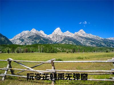 阮岑芷韩禹小说（阮岑芷韩禹）全文免费阅读无弹窗-阮岑芷韩禹最新章节列表-笔趣阁