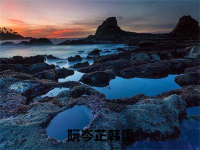 阮岑芷韩禹（阮岑芷韩禹全文在线阅读）-阮岑芷韩禹(阮岑芷韩禹)免费阅读无删减大结局（阮岑芷韩禹）