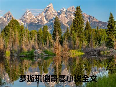 （一纸换命符断了他们之间的恩怨情仇）梦璇玑谢景寒全文免费阅读无弹窗大结局_梦璇玑谢景寒最新章节列表笔趣阁（一纸换命符断了他们之间的恩怨情仇）