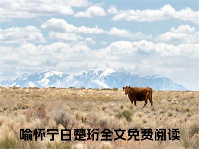 喻怀宁白楚珩全集章节小说免费阅读完整版（喻怀宁白楚珩）-喻怀宁白楚珩小说免费阅读