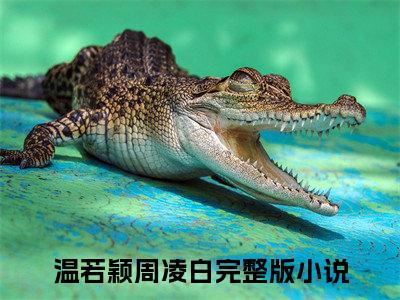 温若颖周凌白全文免费阅读无弹窗大结局_温若颖周凌白(温若颖周凌白最新章节在线阅读)_笔趣阁