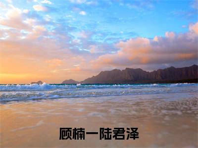 顾楠一陆君泽小说全文免费阅读无弹窗大结局-让所有美好都留在旧时光里 小说在哪里可以看