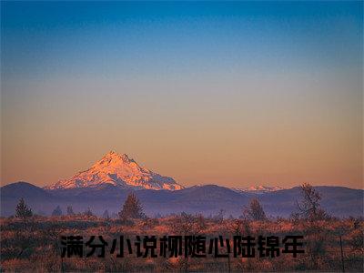 柳随心陆锦年（柳随心陆锦年小说）全文免费阅读无弹窗大结局_(柳随心陆锦年小说免费阅读)最新章节列表