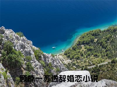 顾楠一苏逸辞全文（顾楠一苏逸辞）全文免费阅读无弹窗大结局_顾楠一苏逸辞全文最新章节列表_笔趣阁（顾楠一苏逸辞）