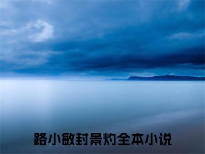 路小敏封景灼小说大结局免费阅读-完结版路小敏封景灼小说免费阅读